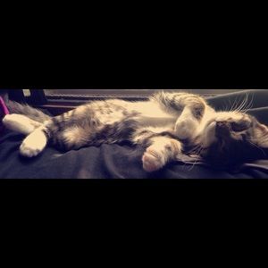 Meet your Posher, Kaitlin